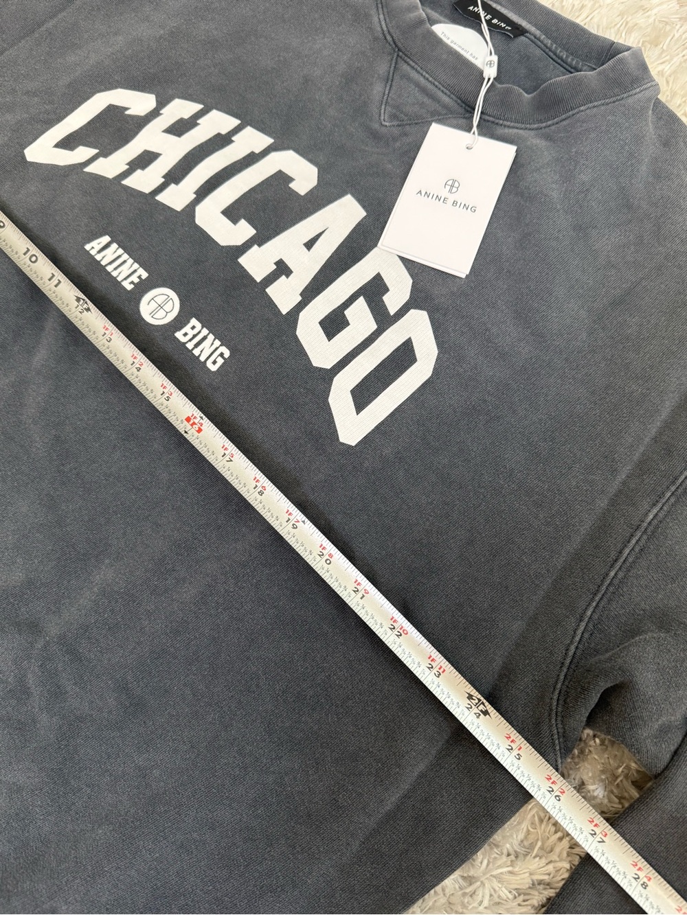 NWT Anine Bing Womens Sweatshirt University Chicago Washed Black Sz XL - Picture 8 of 11